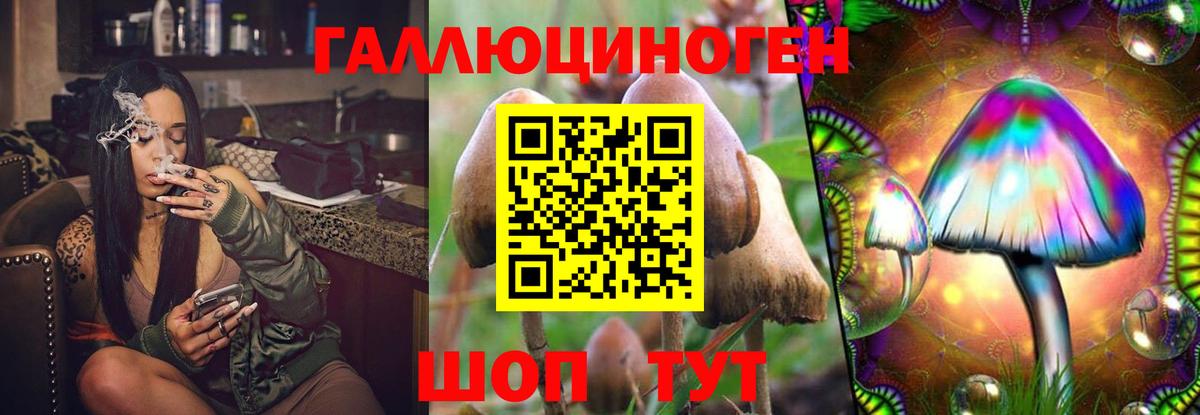 Бошки Шишки Шатура