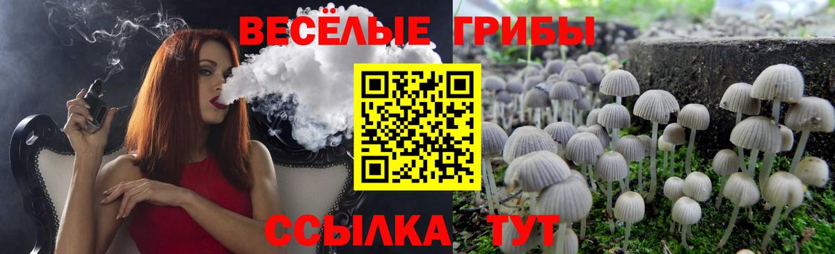 Галлюциногенные грибы Psilocybe  Вход с VPN  Псилоцибиновые грибы Cubensis  Шатура 